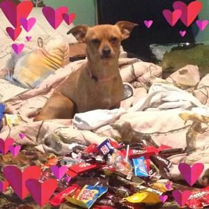 Meet your Posher, Barbara